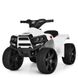 Дитячий електроквадроцикл Bambi Racer M 3893EL-1 до 20 кг M 3893EL-1 фото 1